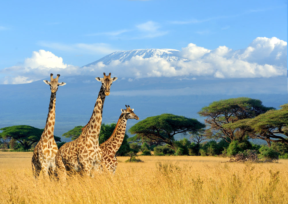 kenya-is-a-country-in-east-africa-monoppy-travel.jpg
